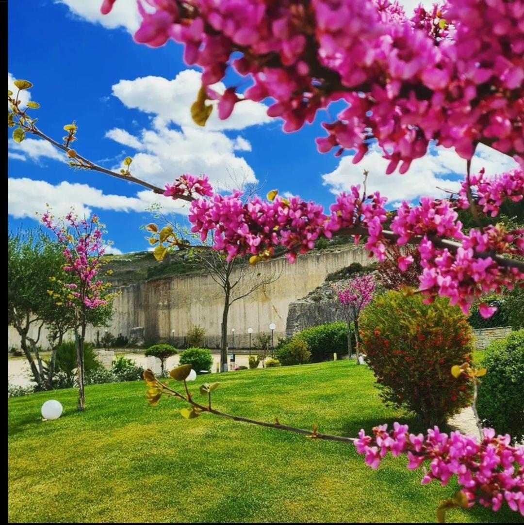 Agriturismo Nonna Rosa Villa Matera Eksteriør billede