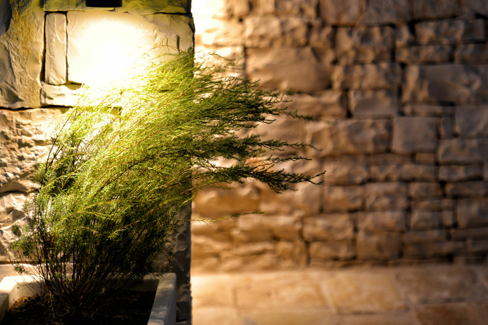 Agriturismo Nonna Rosa Matera Eksteriør billede
